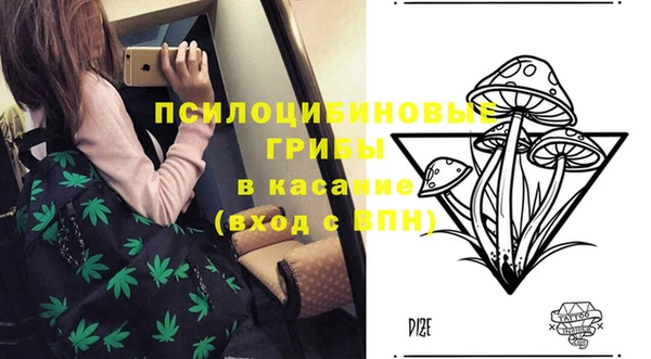 а пвп мука Баксан