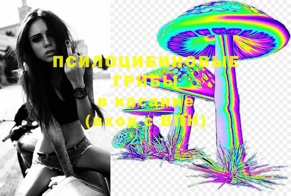 PSILOCYBIN Балахна