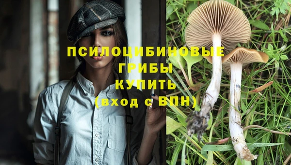 PSILOCYBIN Балахна