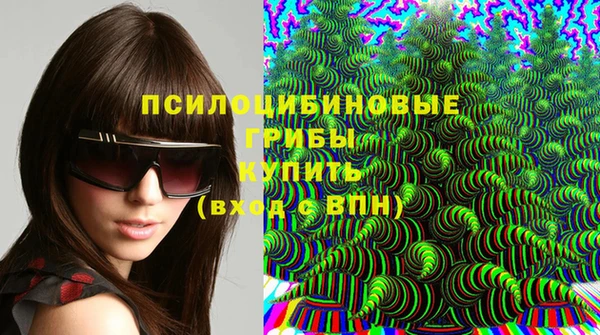 PSILOCYBIN Балахна