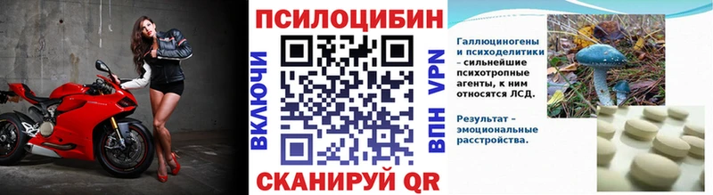 наркотики  Лахденпохья  Галлюциногенные грибы прущие грибы 